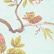 Fagianella Print