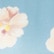 color: Blue Floral