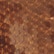 color: Bronze