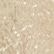 color: Champagne Gold