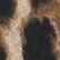 Bengal Print