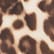 Spotted Bengal