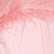 color: Blush