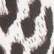 White Leopard