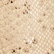 Beige Glossy Python