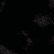 color: Black