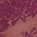 color: Figgy & Nocturnal