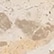 color: Crema Fossil