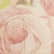 color: Floral
