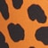 Spotted Amber