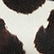 color: Snow Leopard & Black Speckle