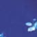 color: Blue Bloom