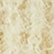 color: Chick