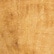 color: Tortoiseshell