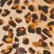 color: Lux Leopard