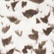 color: Dipped Feather
