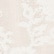 color: White Chantilly Lace
