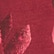 color: Garnet Barooue Floral