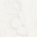 color: White Rose Lace