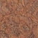 color: Pinecone