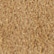 Havana Beige