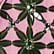 Emerald & Rhododendron
