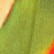 color: Samba