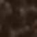 color: Black Brown