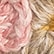 color: Meadow Bloom
