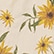 color: Sunflower Field