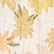 color: Mauve Meadow