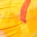 color: Here Comes The Sun