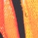 Chrysalis