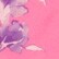 Dandelion Pink