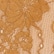 Hazelnut