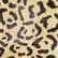 color: Leopard