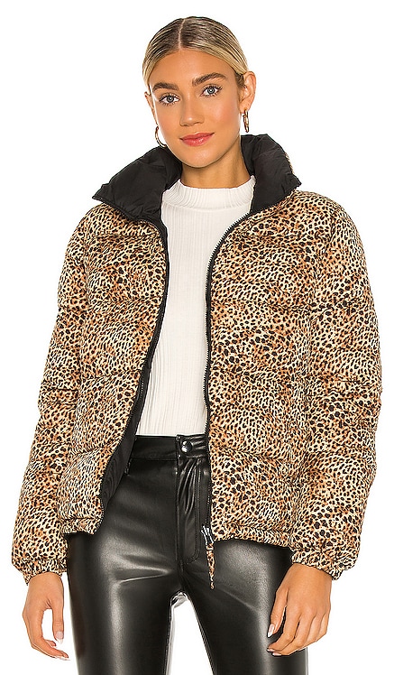 Cool Kitten Puffer BB Dakota $139 