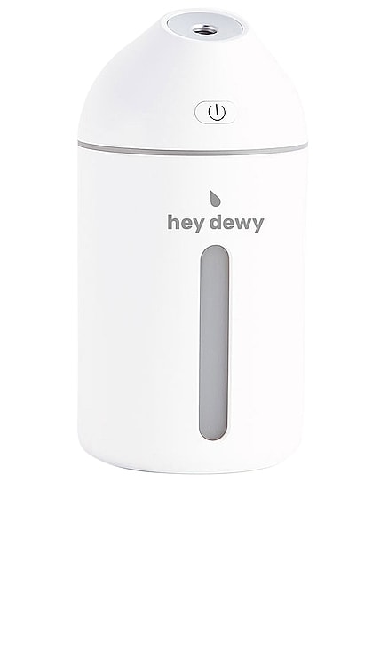 Portable Facial Humidifier Hey Dewy