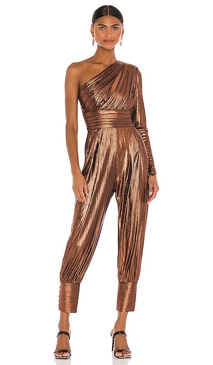Timi Jumpsuit retrofete $585 