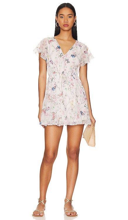 KIRSTY ドレス Steve Madden