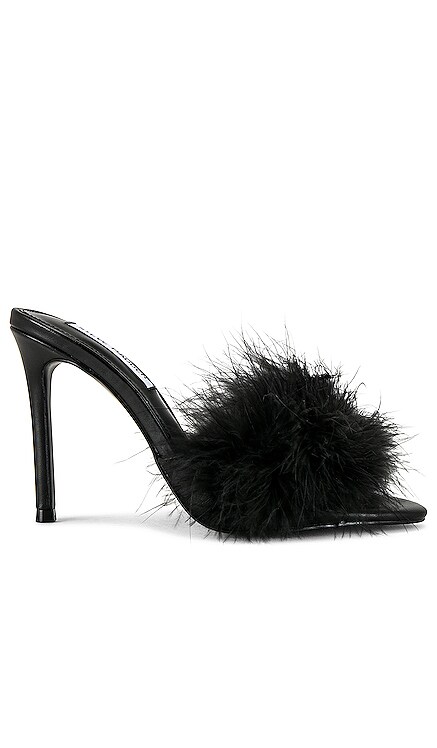 SPIN プラットフォーム Steve Madden