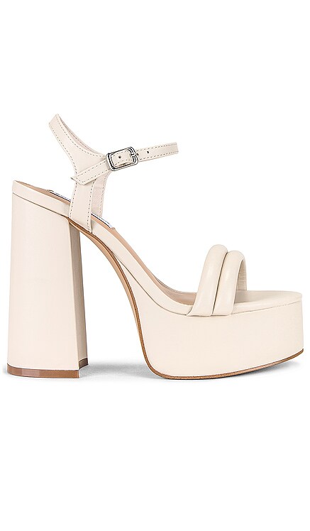 TILLE ヒール Steve Madden