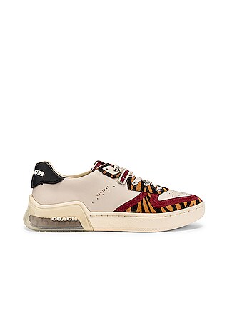 coach 1941 sneakers