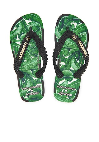 X Dolce & Gabbana Banano Sandal Havaianas $148 