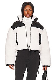 Shoreditch Ski Club