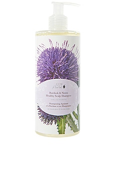 Burdock & Neem Healthy Scalp Shampoo 100% Pure $34 