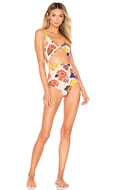 Acacia indies sale one piece