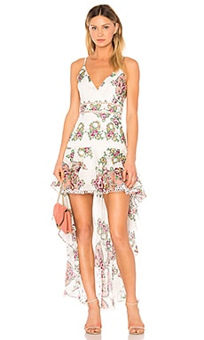 aijek Naomi Print Dress in White | REVOLVE