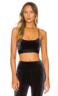 Velvet best sale sports bra