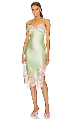 Alice + Olivia